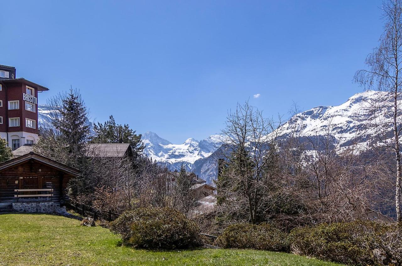 Chalet Steingaertli 1 Венген Екстериор снимка