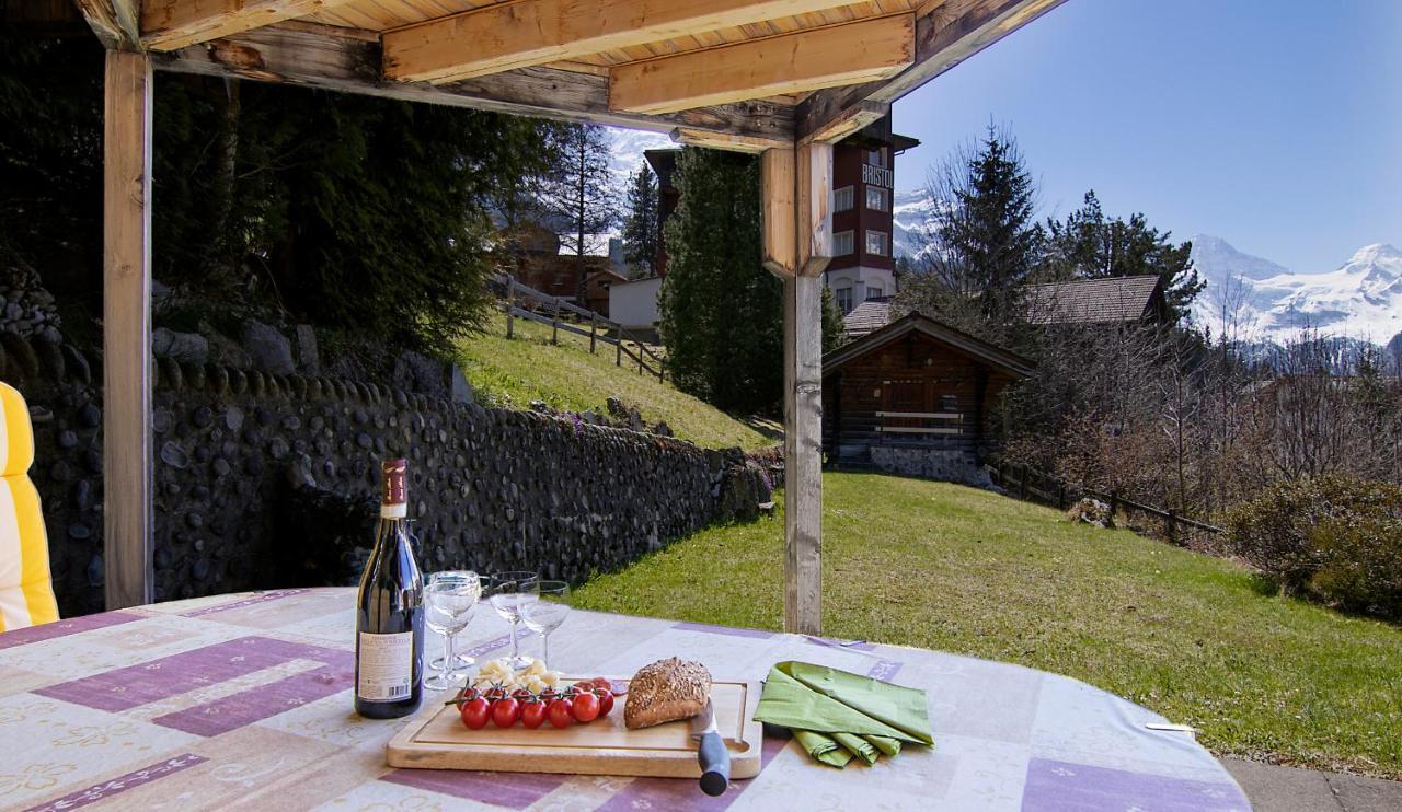 Chalet Steingaertli 1 Венген Екстериор снимка